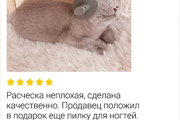 Как пополнить баланс кракен