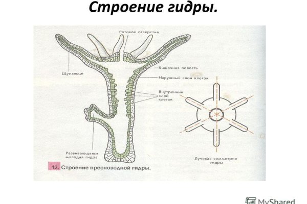 Что такое кракен плейс