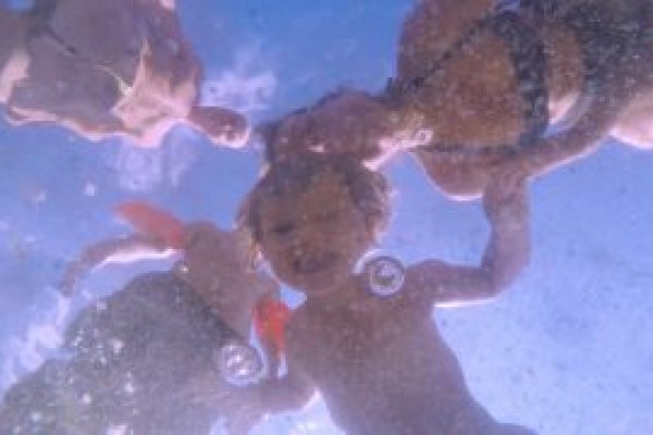 Кракен даркнет отменился заказ