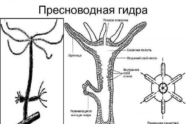 Как пополнить кракен